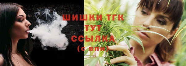 индика Белокуриха