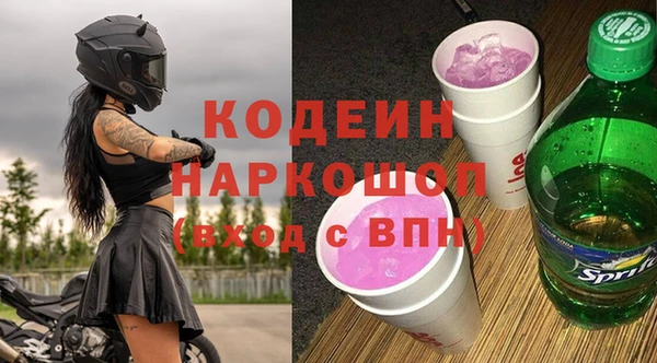 индика Белокуриха