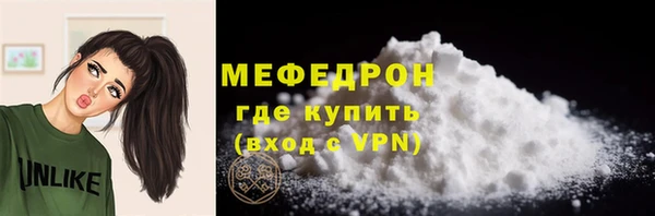 молекула духа Богородицк