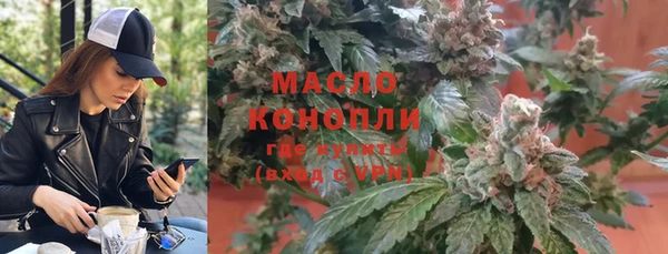 индика Белокуриха