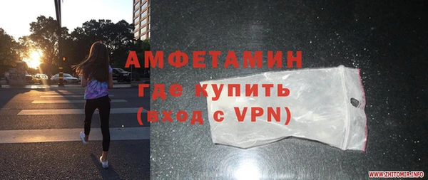 индика Белокуриха